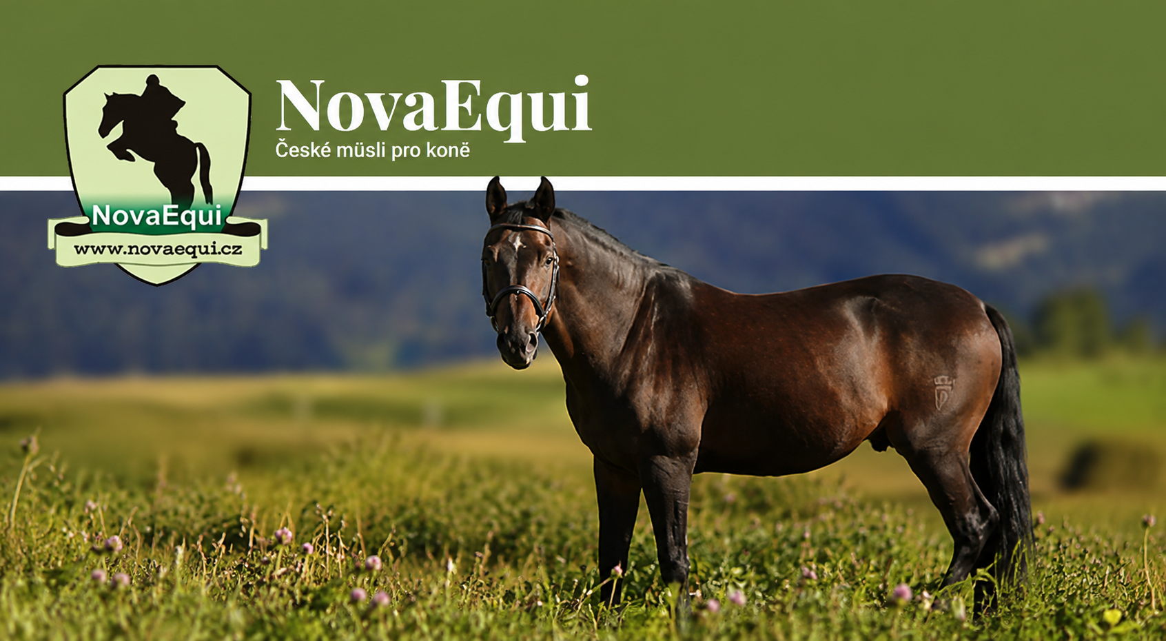 🌿 NovaEqui lehce upravuje své receptury. Co se změnilo a co to znamená pro vašeho koně? 🐴